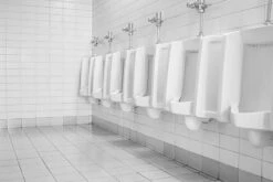 BiOHY WC-Reiniger (12x1l Flasche) | EXTRA STARK | Profi Bio Konzentrat | Dickflüssiges Reinigungs-Gel | Ideal Gegen Urinstein 14 BiOHY WC-Reiniger (12x1l Flasche) | EXTRA STARK | Profi Bio Konzentrat | Dickflüssiges Reinigungs-Gel | Ideal Gegen Urinstein -Sauber Lieferungen Geschäft df2390b2 42ed 4f70 95d8 057d9c2f50ed